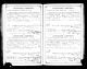 Horace Webster Fly and Ida May McNeely Marriage License