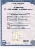 Mary Ella (Head) Crim Death Certificate
