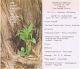 Larry Melvin Lovelace Funeral Card