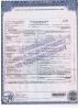 Anthony Winschel Reiss Death Certificate Anthony Winschel Reiss Death Certificate